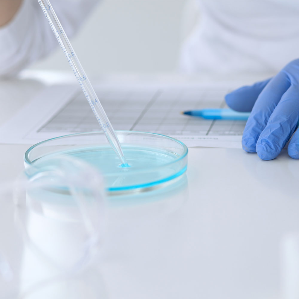 test_laboratorio